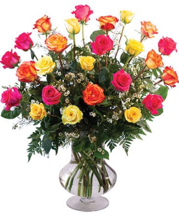 24 Mixed Roses – Mia's Flower Shop, Lancaster PA