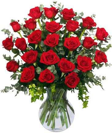 24 Radiant Roses – Mia's Flower Shop, Lancaster PA