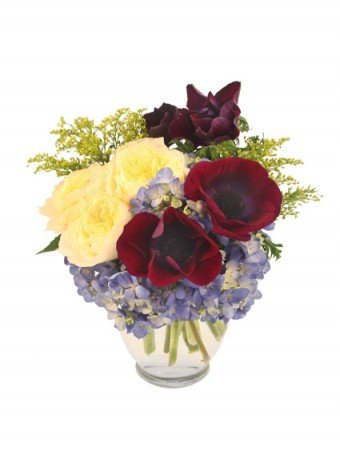 Abracadabra! – Mia's Flower Shop, Lancaster PA