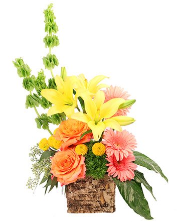 Amber Lilies – Mia's Flower Shop, Lancaster PA