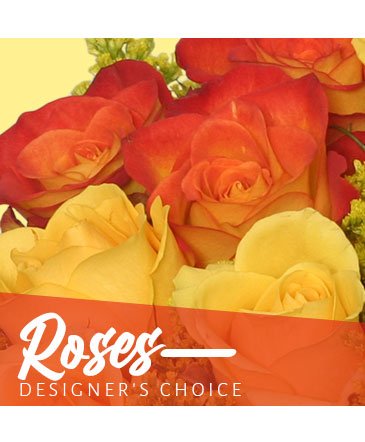 Beautiful Roses – Mia's Flower Shop, Lancaster PA