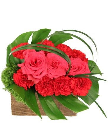 Blazing Kiss – Mia's Flower Shop, Lancaster PA