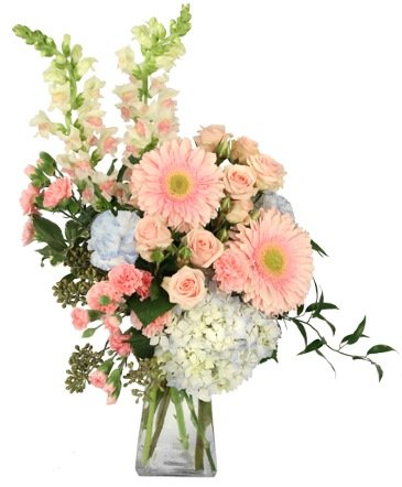 Blushing Horizon – Mia's Flower Shop, Lancaster PA
