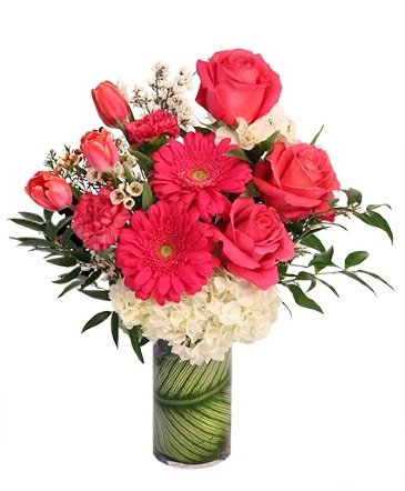 Bold Desire – Mia's Flower Shop, Lancaster PA