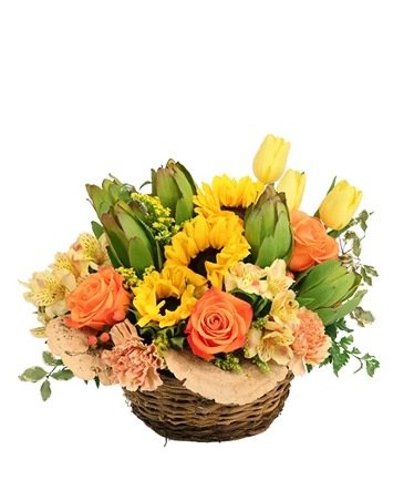 Brightly Joyful – Mia's Flower Shop, Lancaster PA