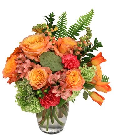 Captivated Allure – Mia's Flower Shop, Lancaster PA