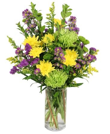 Cheerful Jubilee – Mia's Flower Shop, Lancaster PA
