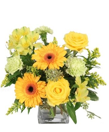Citrus Symphony – Mia's Flower Shop, Lancaster PA