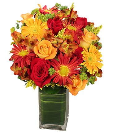 Colorful Canvas – Mia's Flower Shop, Lancaster PA