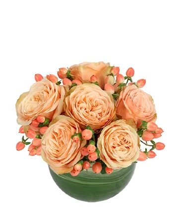 Cozy Coral – Mia's Flower Shop, Lancaster PA