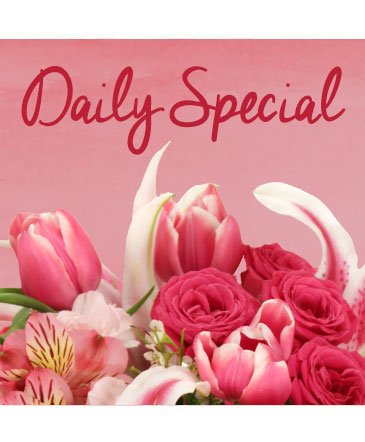 Daily Special – Mia's Flower Shop, Lancaster PA