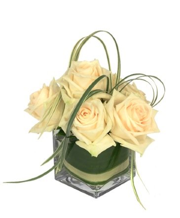 Dainty White Roses – Mia's Flower Shop, Lancaster PA