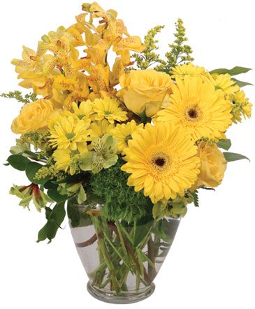 Divinely Golden – Mia's Flower Shop, Lancaster PA