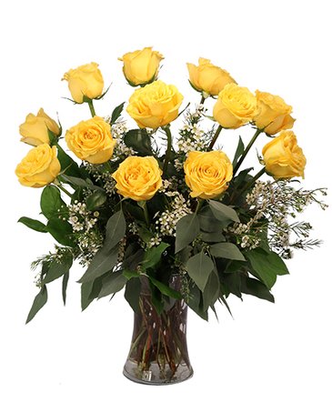 Dozen Yellow Roses – Mia's Flower Shop, Lancaster PA