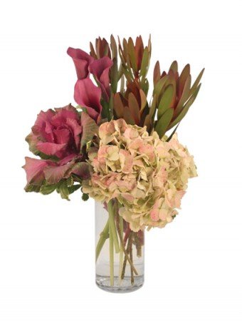 Dream Weaver – Mia's Flower Shop, Lancaster PA
