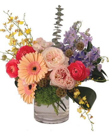 Dreaming Blush – Mia's Flower Shop, Lancaster PA