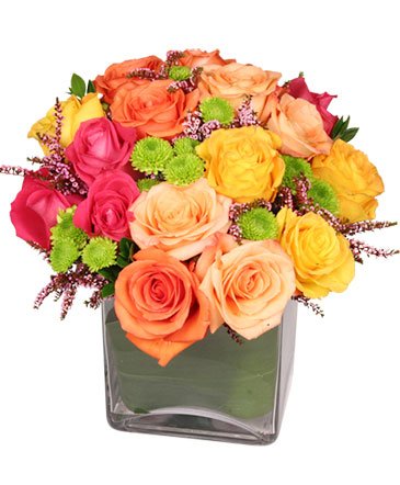 Energetic Roses – Mia's Flower Shop, Lancaster PA