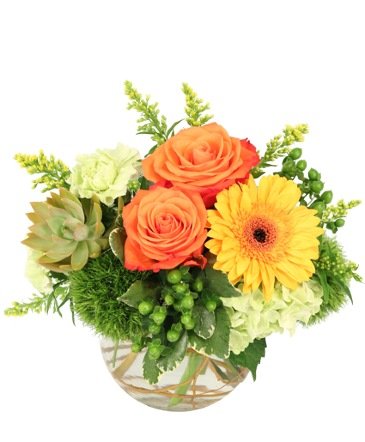 Evening Ember – Mia's Flower Shop, Lancaster PA