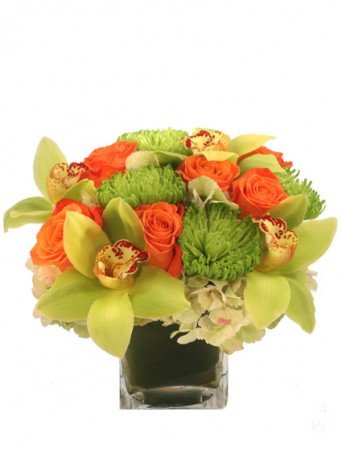 Exotic Greenness – Mia's Flower Shop, Lancaster PA