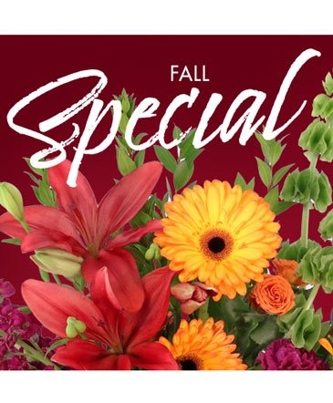 Fall Special – Mia's Flower Shop, Lancaster PA