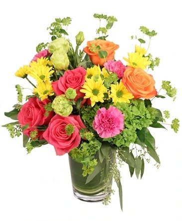 Festive Surprise – Mia's Flower Shop, Lancaster PA