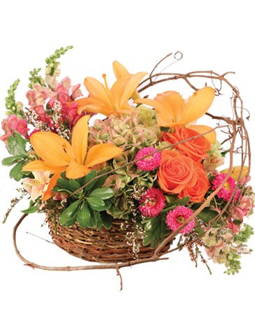 Free Spirit Garden – Mia's Flower Shop, Lancaster PA