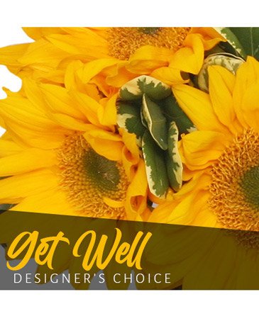 Get Well Bouquet – Mia's Flower Shop, Lancaster PA