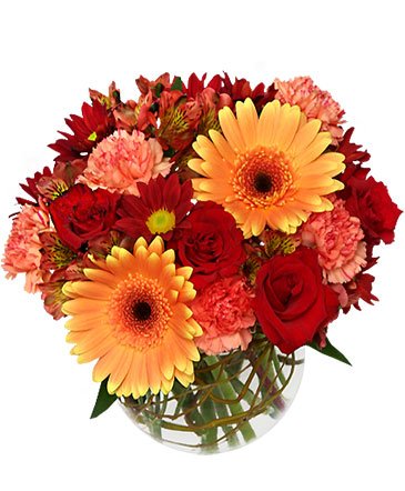 Hot & Spicy – Mia's Flower Shop, Lancaster PA