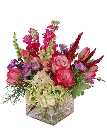 Lively & Luscious – Mia's Flower Shop, Lancaster PA
