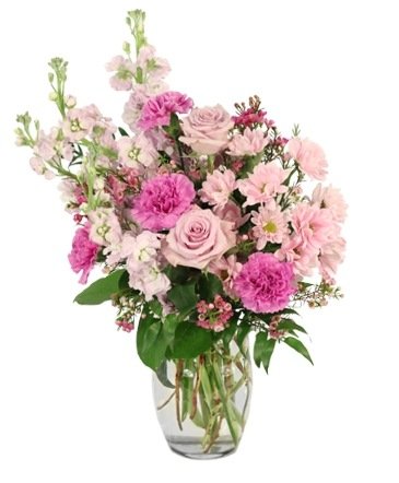 Magical Admiration – Mia's Flower Shop, Lancaster PA