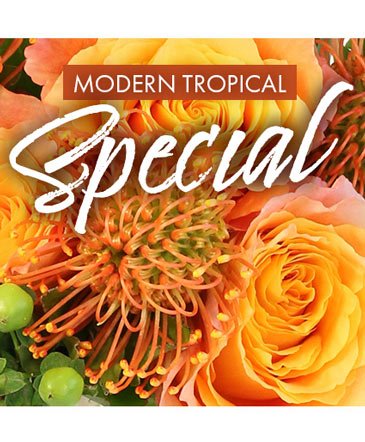 Modern Tropical Special – Mia's Flower Shop, Lancaster PA