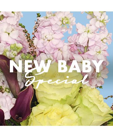 New Baby Special – Mia's Flower Shop, Lancaster PA