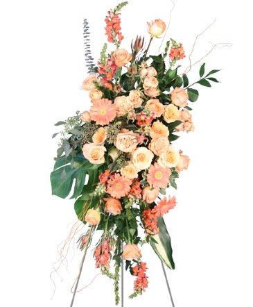 Peach Compassion – Mia's Flower Shop, Lancaster PA