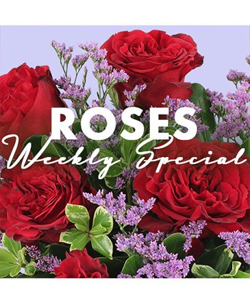 Rose Special – Mia's Flower Shop, Lancaster PA
