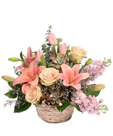 Soft Embrace – Mia's Flower Shop, Lancaster PA