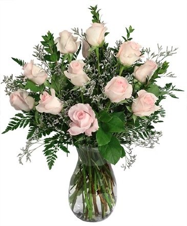 Soft Pink Dozen – Mia's Flower Shop, Lancaster PA