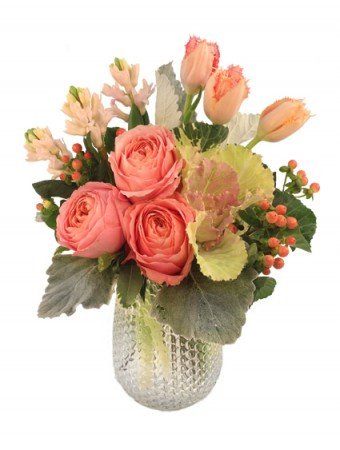 Softness – Mia's Flower Shop, Lancaster PA