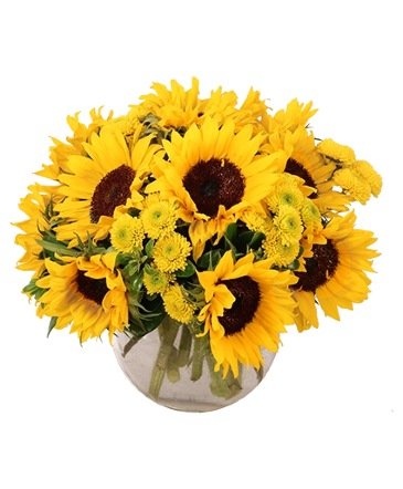 Sunny Escape – Mia's Flower Shop, Lancaster PA