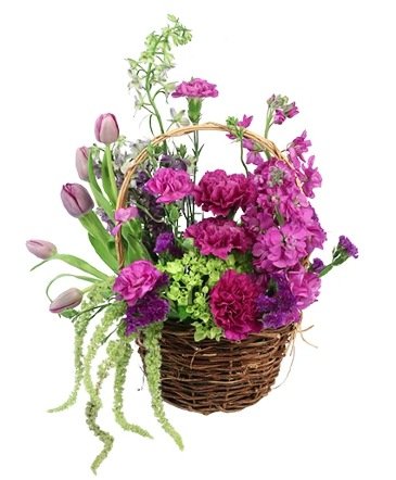 Tasteful Plums – Mia's Flower Shop, Lancaster PA