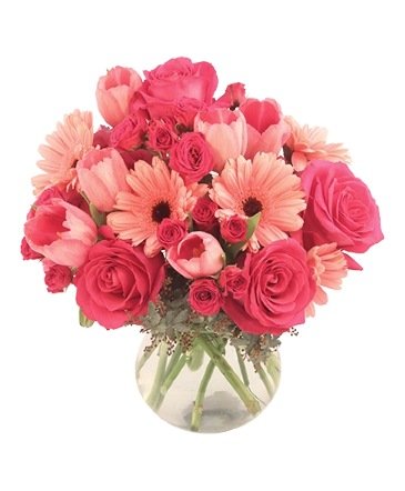 Tenderness – Mia's Flower Shop, Lancaster PA