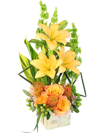 Tropical Honey – Mia's Flower Shop, Lancaster PA