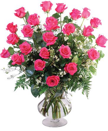 Two Dozen Pink Roses – Mia's Flower Shop, Lancaster PA