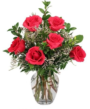 Vibrant Fuchsia Roses – Mia's Flower Shop, Lancaster PA