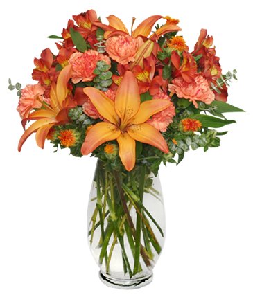 Warm Cinnamon Spice – Mia's Flower Shop, Lancaster PA