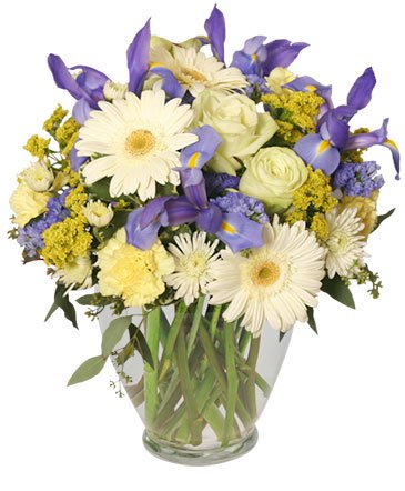 Welcome Baby Boy – Mia's Flower Shop, Lancaster PA