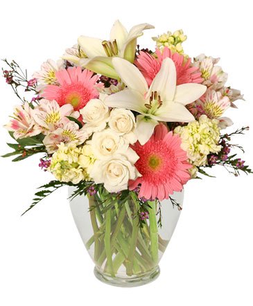 Welcome Baby Girl – Mia's Flower Shop, Lancaster PA