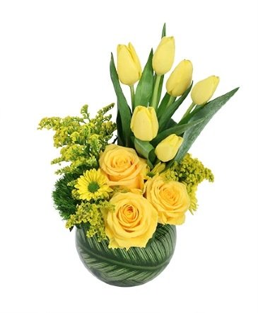Yellow Optimism – Mia's Flower Shop, Lancaster PA